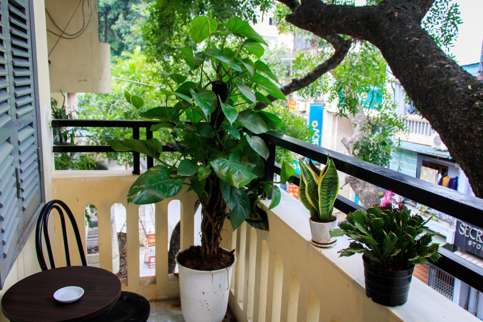 Hanoi Family Homestay Hanói Exterior foto