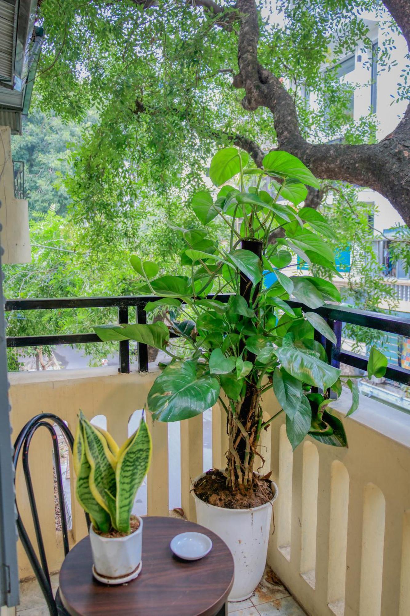 Hanoi Family Homestay Hanói Exterior foto